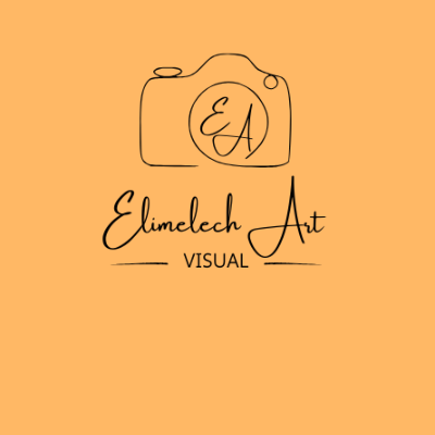 elimelech art visual