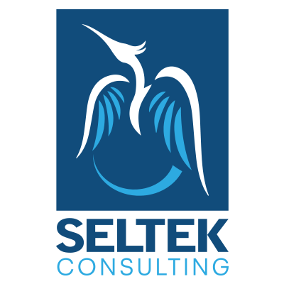 Seltek Consulting