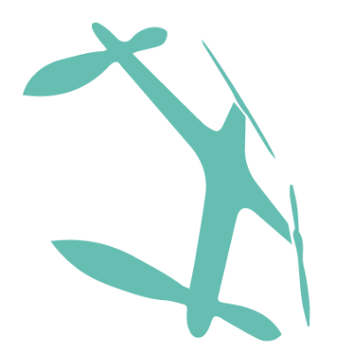 DRONZ צילום אווירי logo