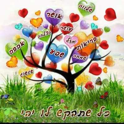 רן ורינה פתרונות לעתיד טוב יותר