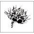budflower Design logo