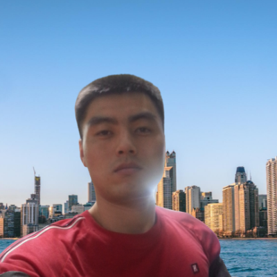 Web developer