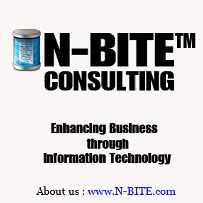 N-BITE Consulting