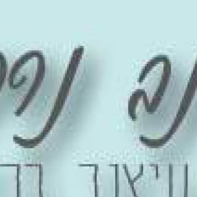 עינב נרקיס עיצובים logo