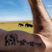 שי נחשון logo