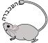 העכברה - עבודות גרפיות logo