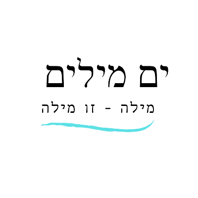 ים מילים