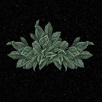 MARI YAR logo