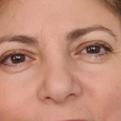 Alex BI Studio