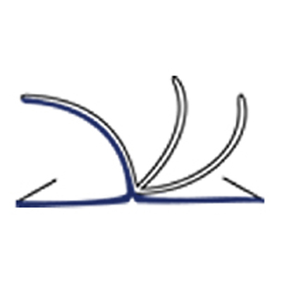שירלי בל תרגומים logo