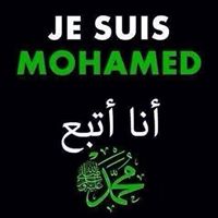 فلسطين داوود logo