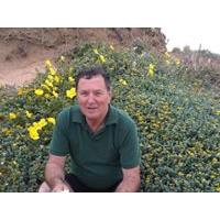 Nadav Kedem