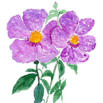 אומנות מקורית, איורים וסדנאות ציור logo