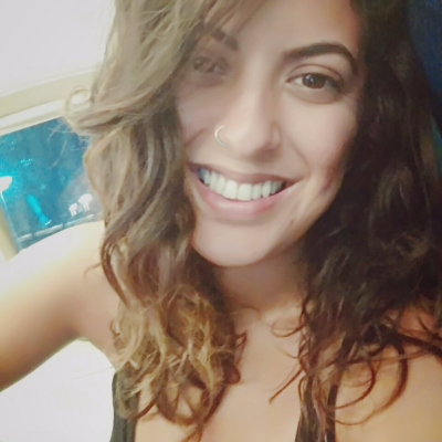 zohar tal