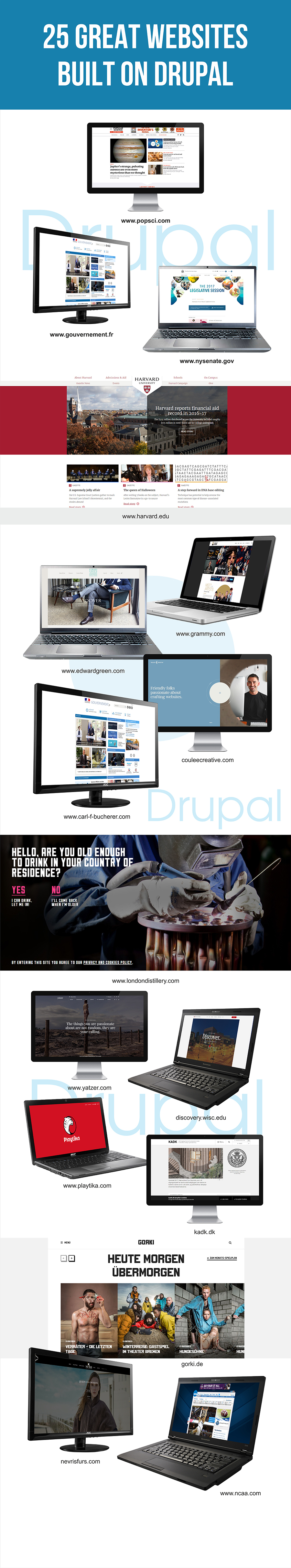 Entry 162304 in 25 popular Drupal websites by Wishdesk