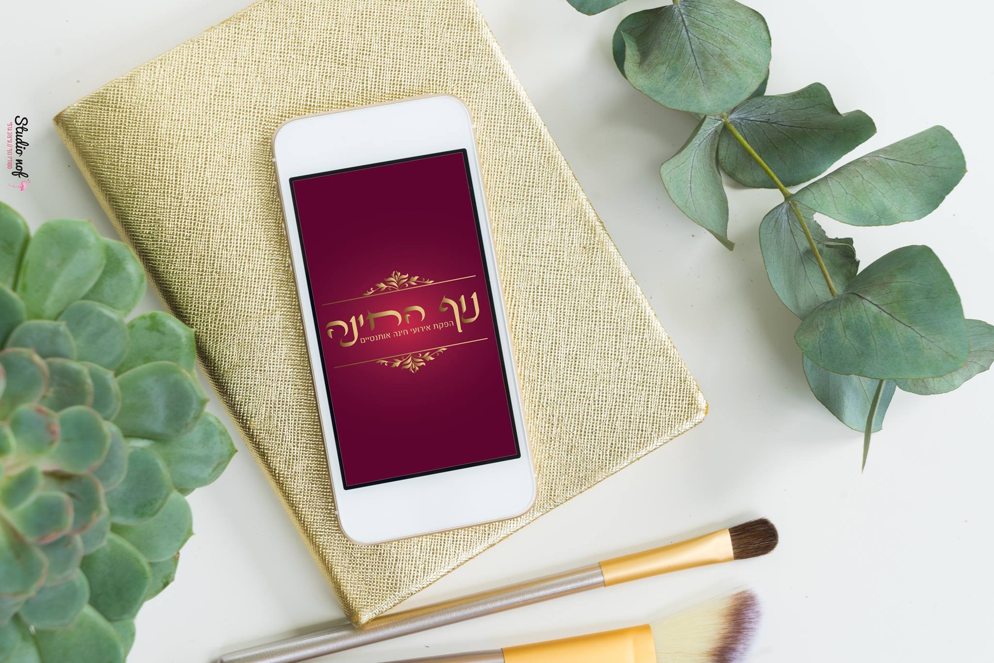 Entry 230887 in לוגואים by סטודיו נוף