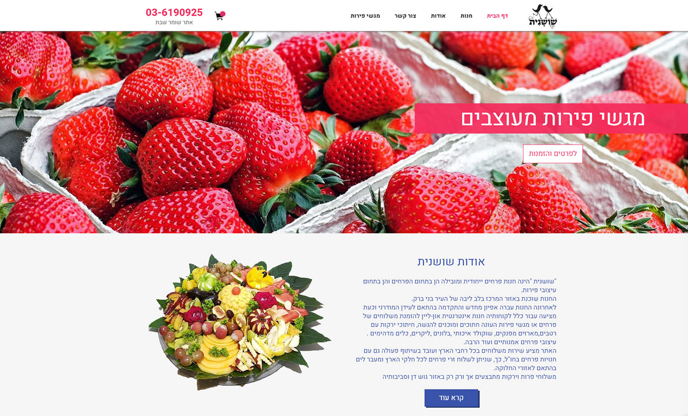 Entry 156859 in פרויקט - שושנית פירות/Project - fruits web design by יוסי טק