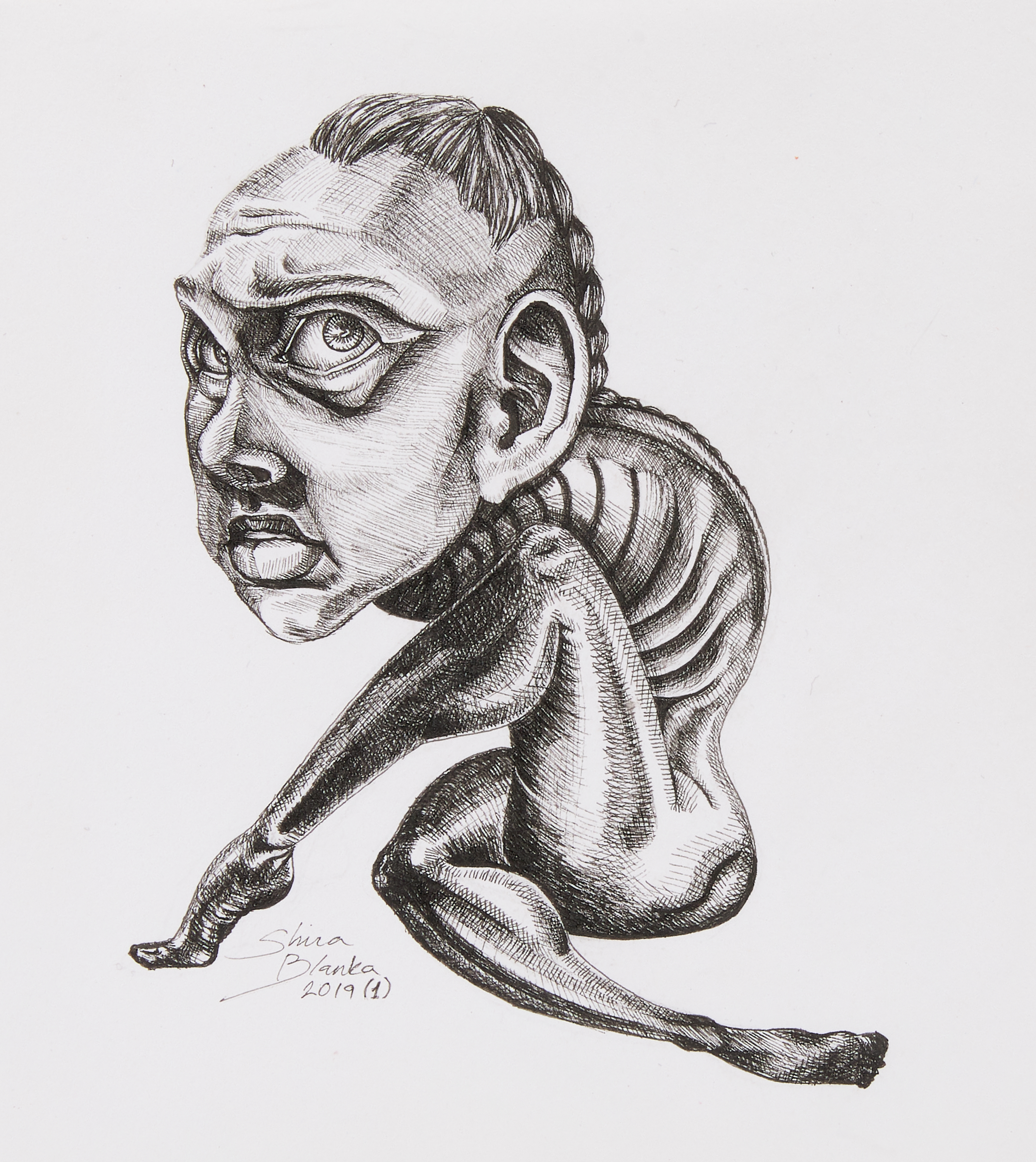 Entry 264978 in Portfolio by Shira Blanka