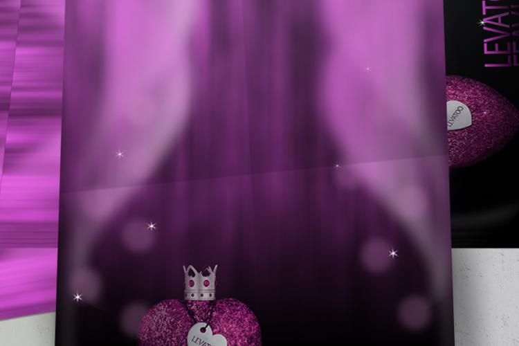 Open Zoomed Related Entry levatoo-flayer-mockup.jpg