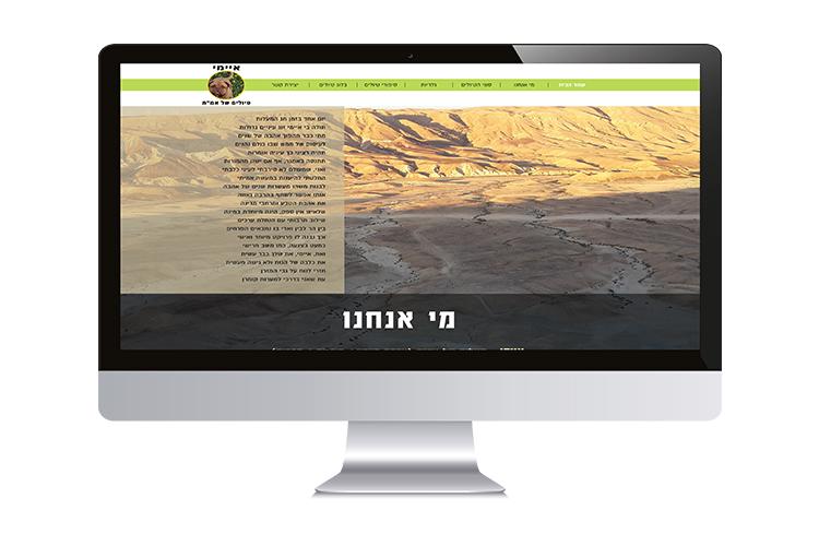 Open Zoomed Related Entry ארז לידר.jpg