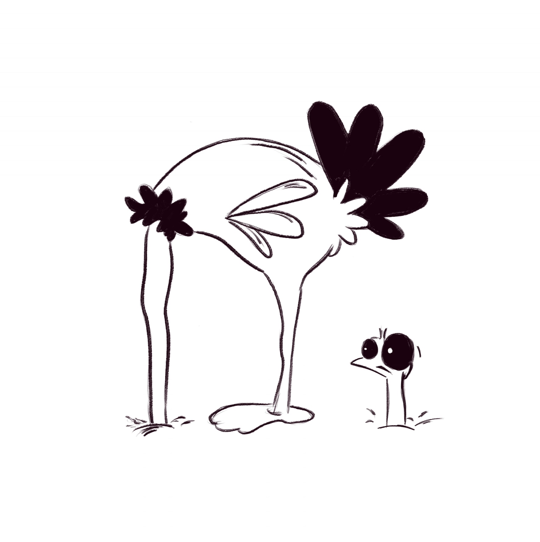 Entry 263395 in Portfolio by Gal Cohen