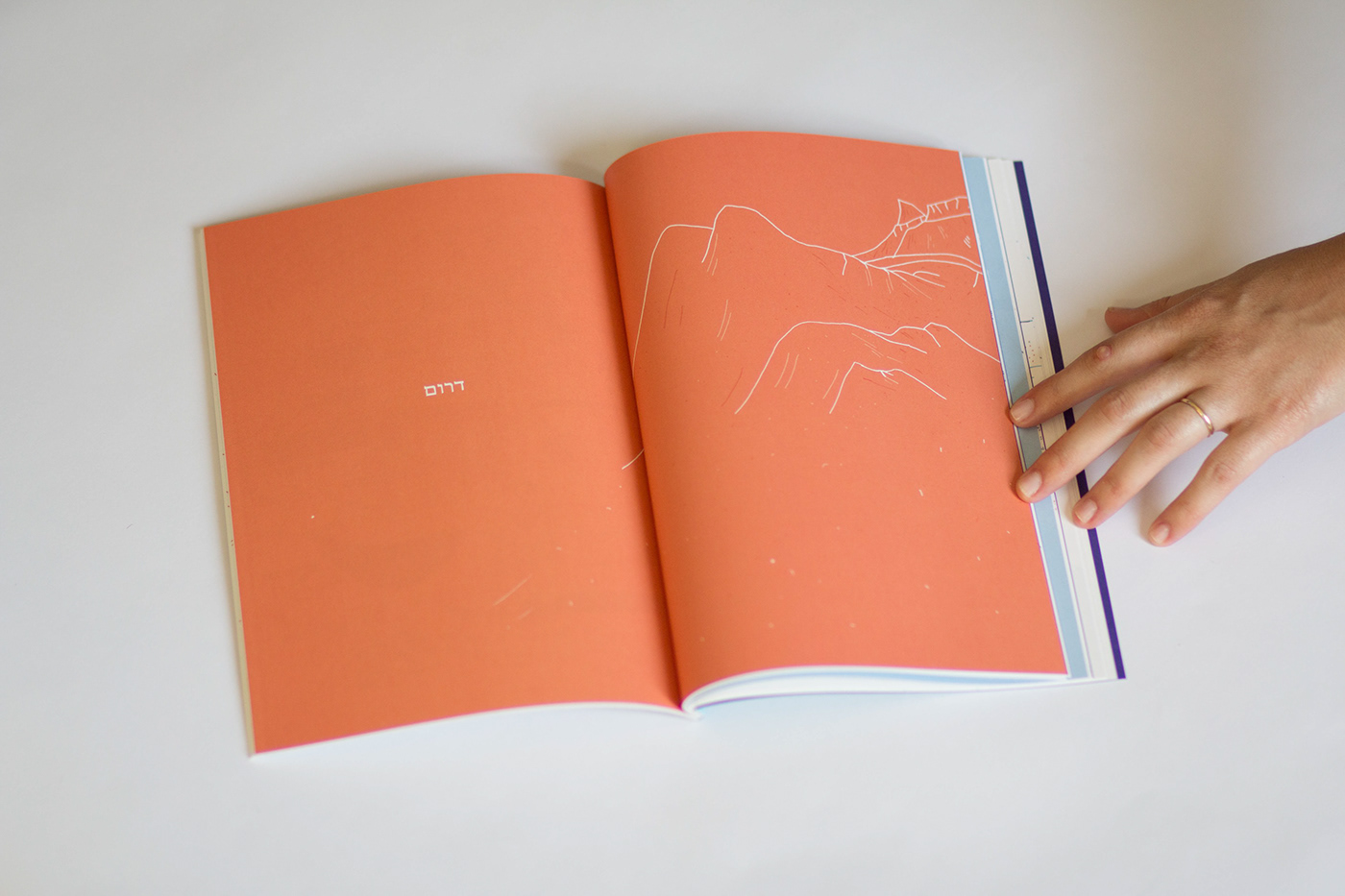 Entry 217959 in Illustrated Journey in Israel National Trail by Mor Luvka - Graphic design & Illustrator