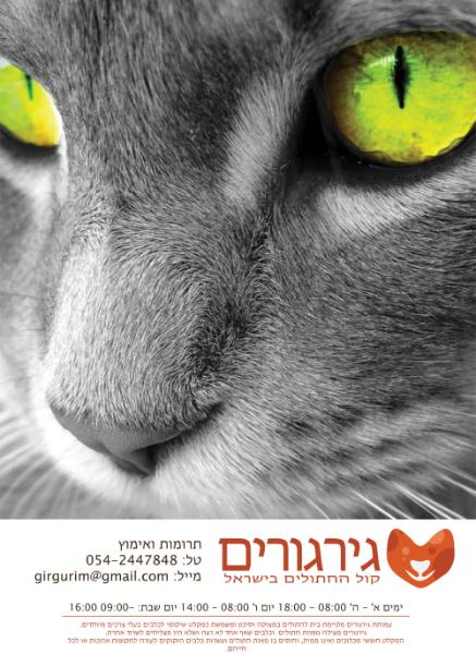 Entry 34172 in Portfolio by ג'סי חייפץ