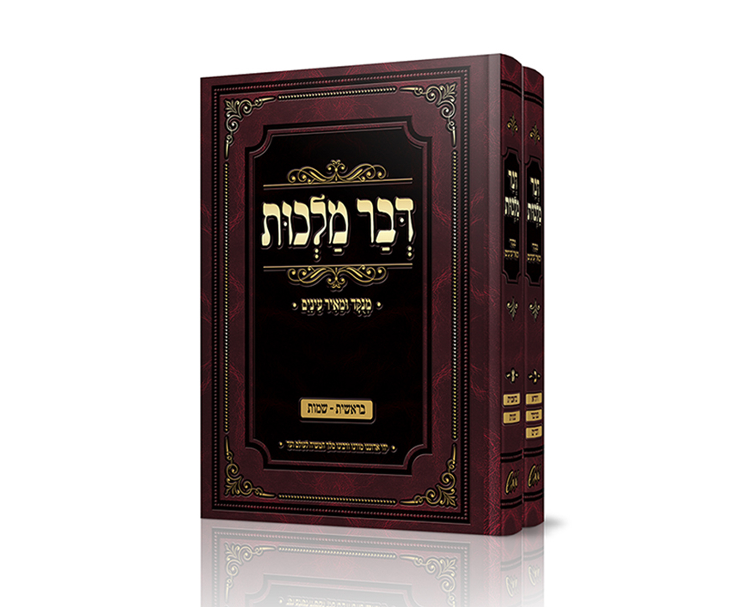 Entry 149105 in Portfolio by קווי מתאר