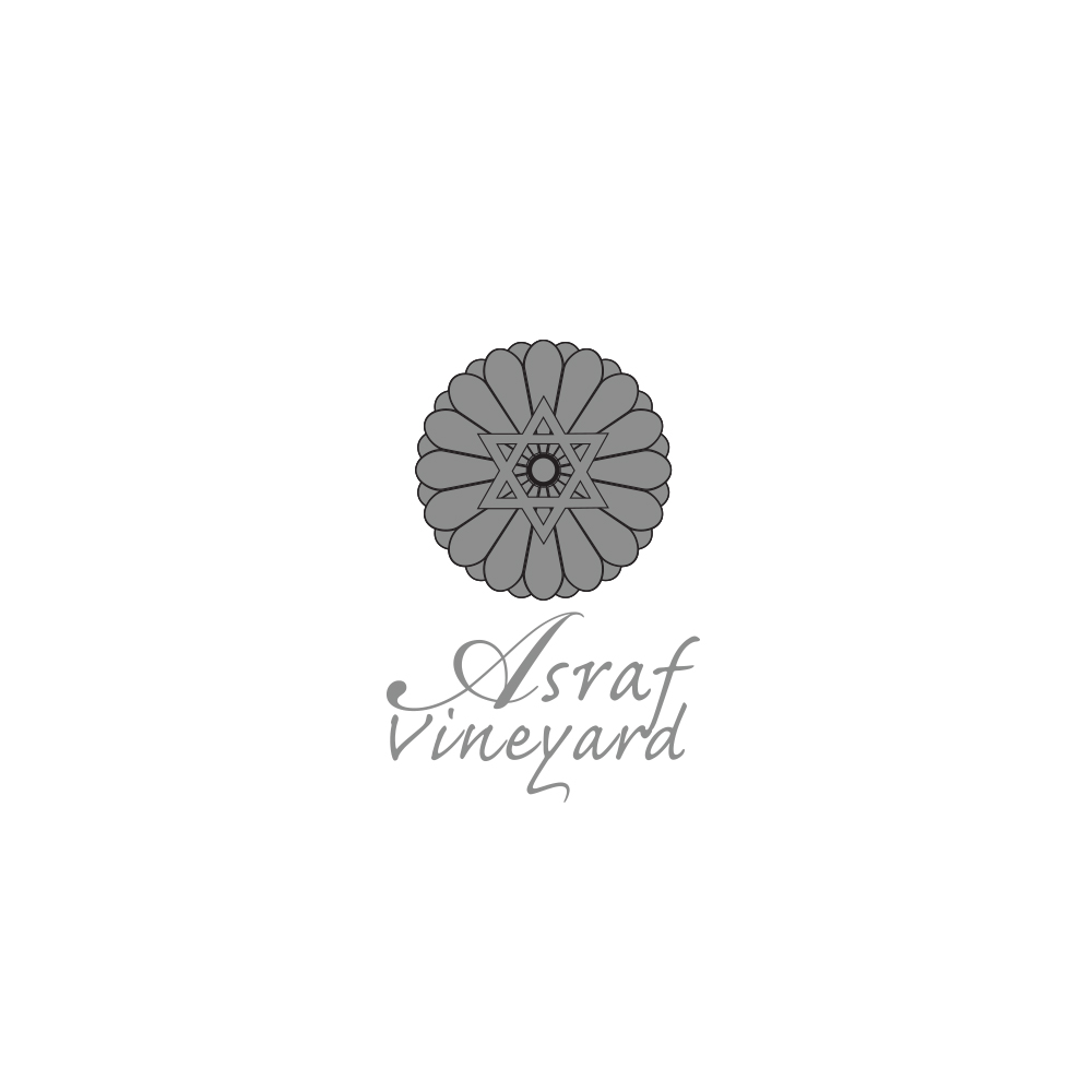 Entry 151057 in LOGO by סטודיו שולמית - עיצוב גרפי עיצוב אתרים הפקות דפוס