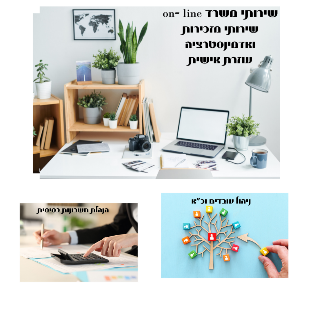 Entry 260140 in Portfolio by sarit- שירותי משרד ON-LINE