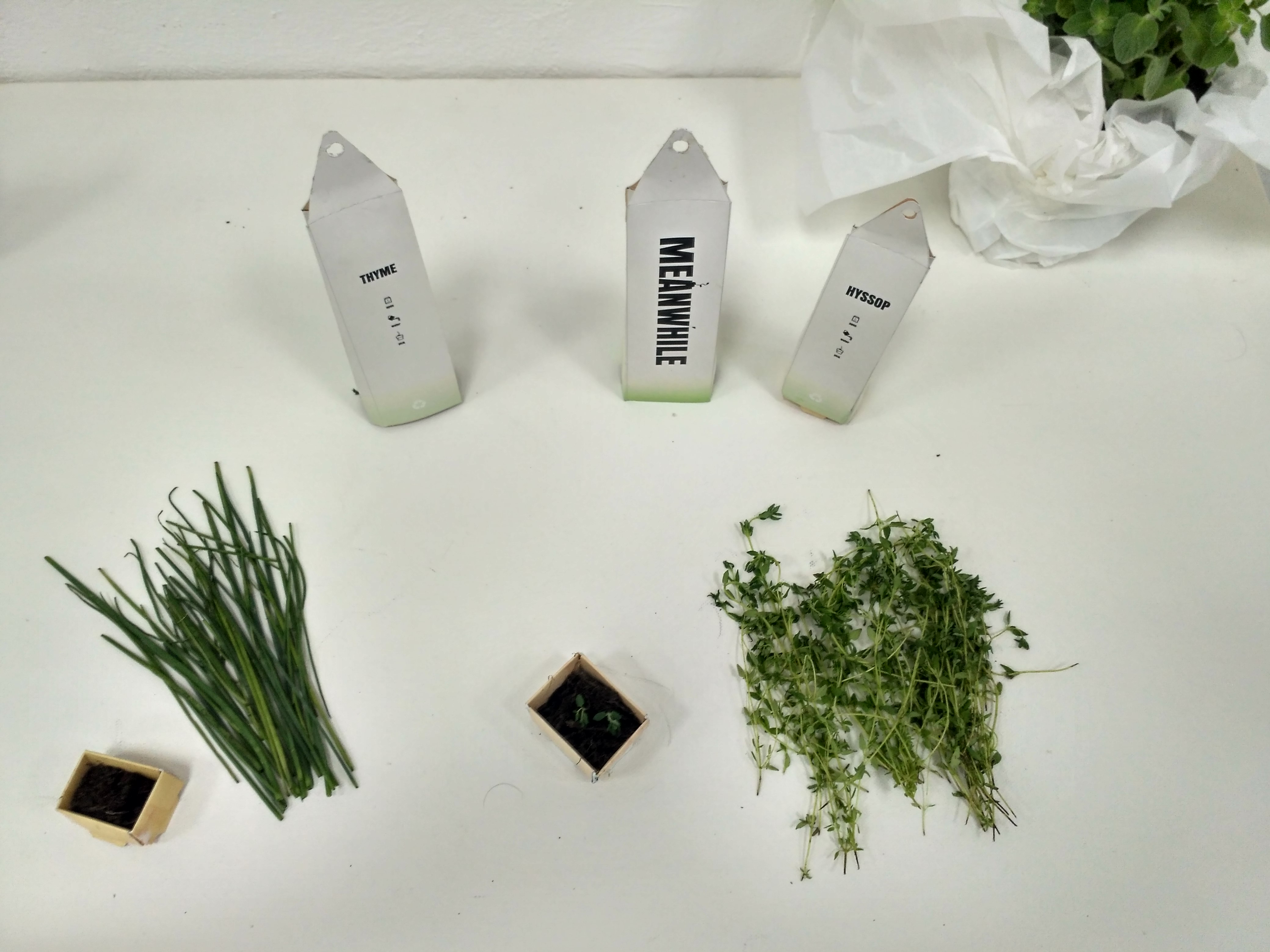 Entry 123707 in Portfolio by k.o. designe