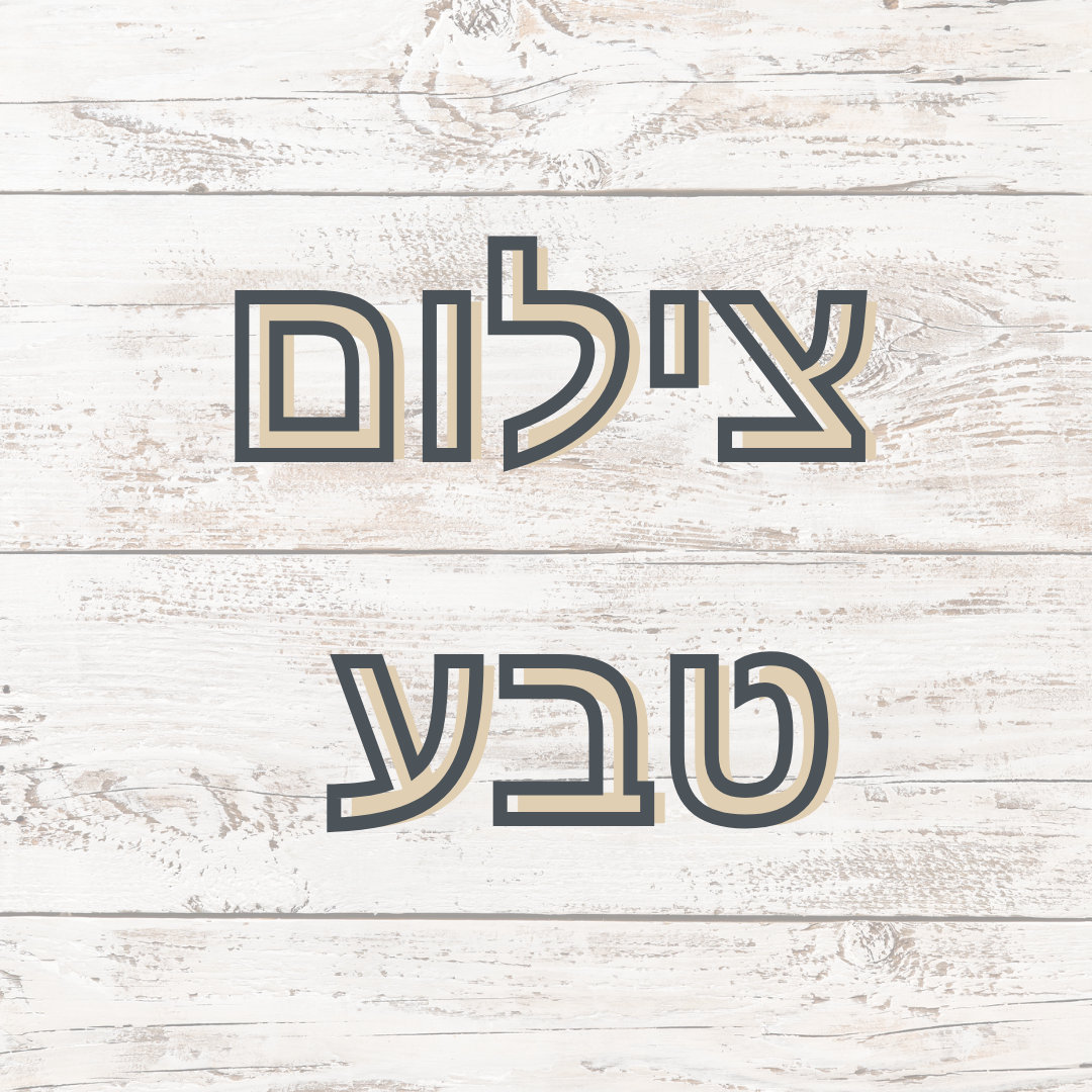Entry 334538 in Portfolio by פוטו-שון