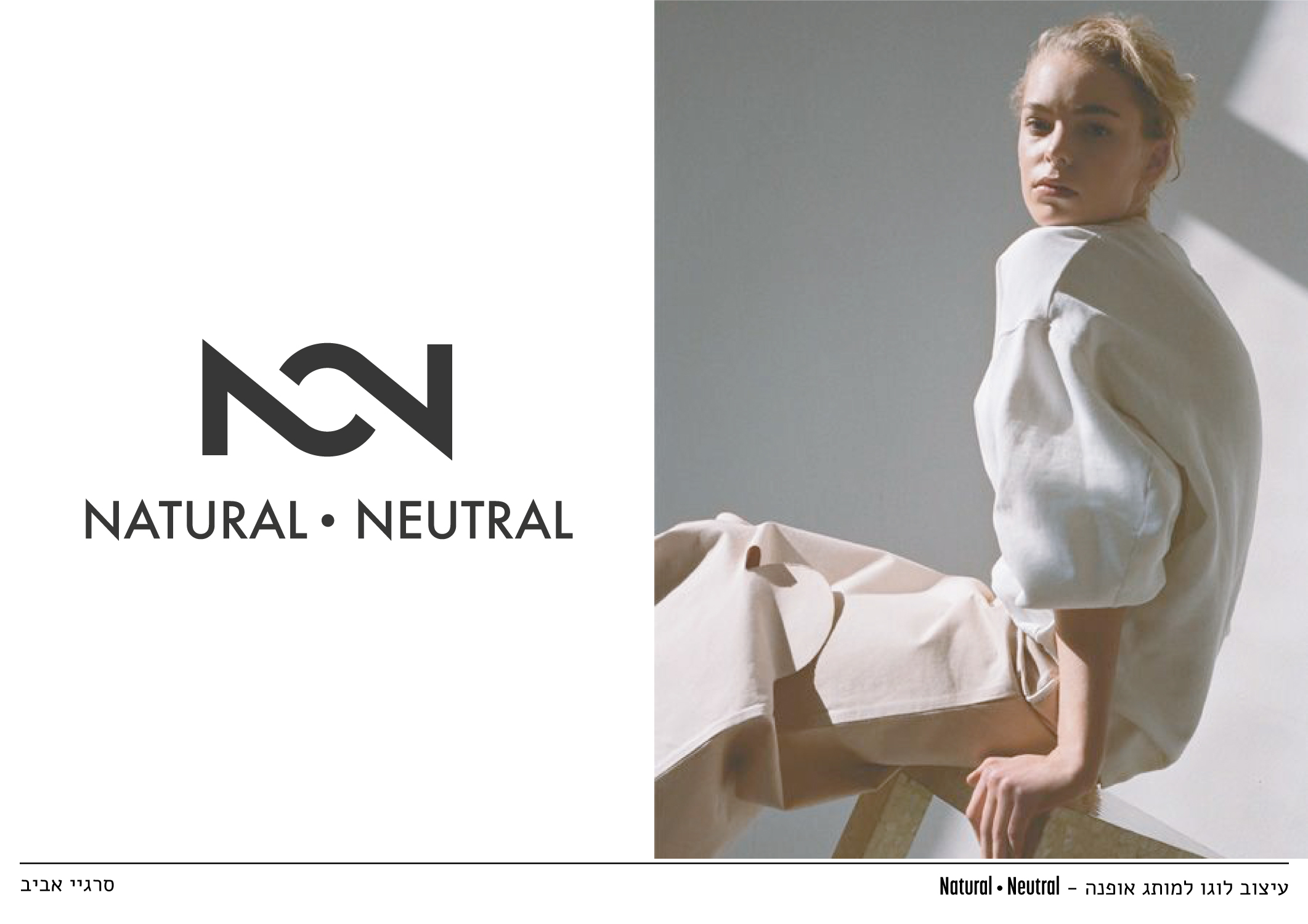 Entry 280936 in Branding Portfolio by Sergei Aviv
