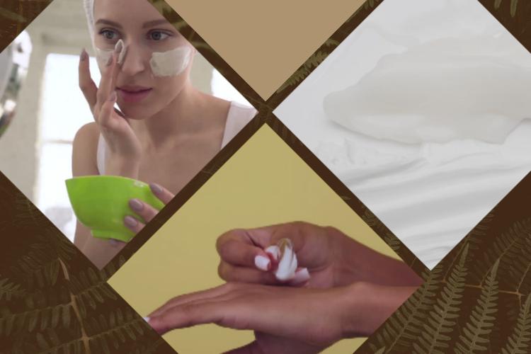 Open Zoomed Related Entry spa (2).png