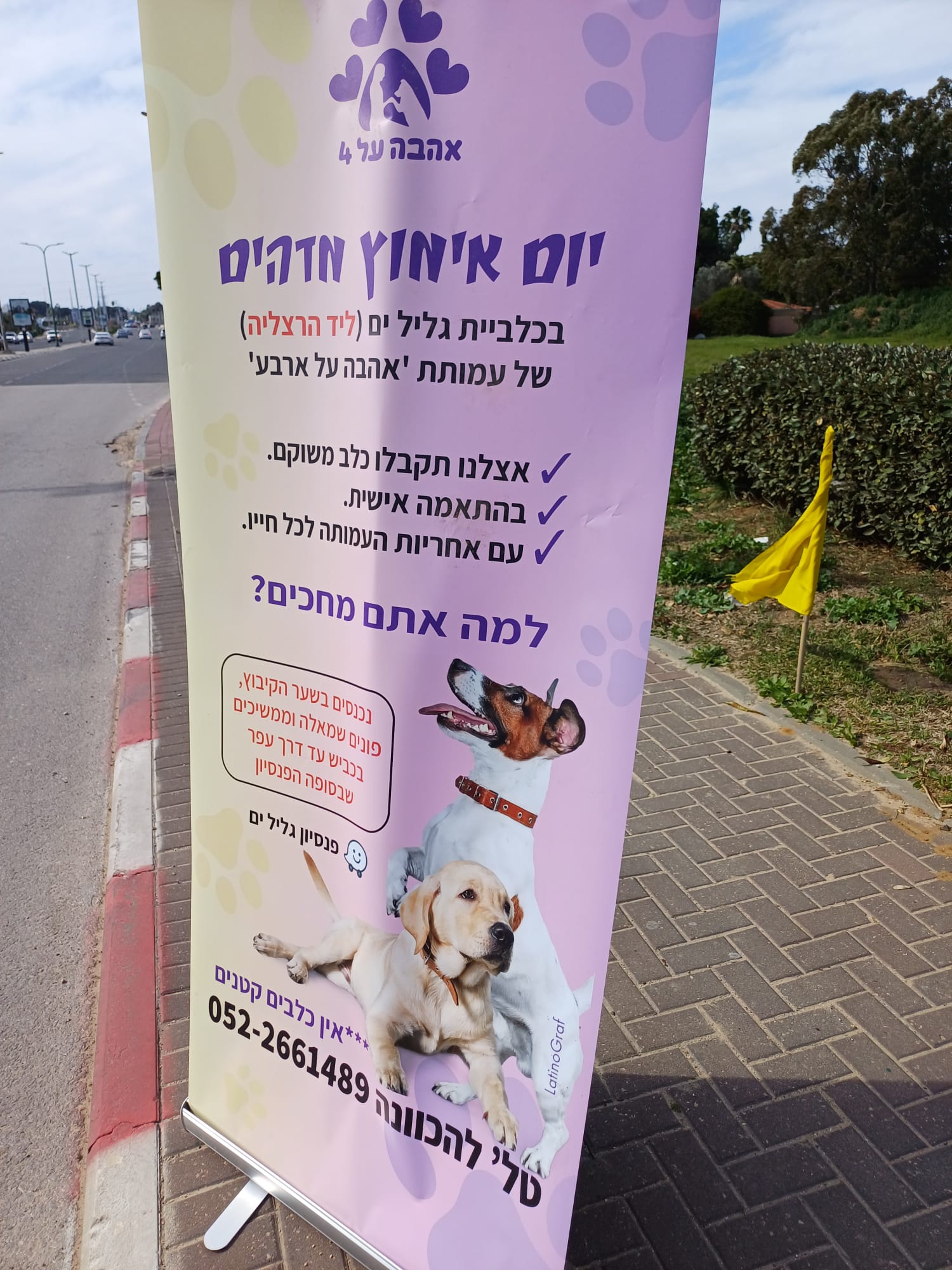 Entry 344791 in רולאפ by לטינוגרף