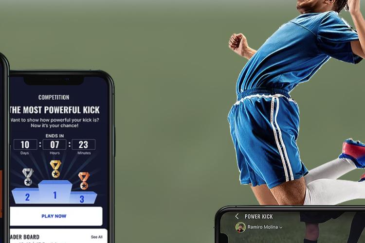 Open Zoomed Related Entry playform_project.png