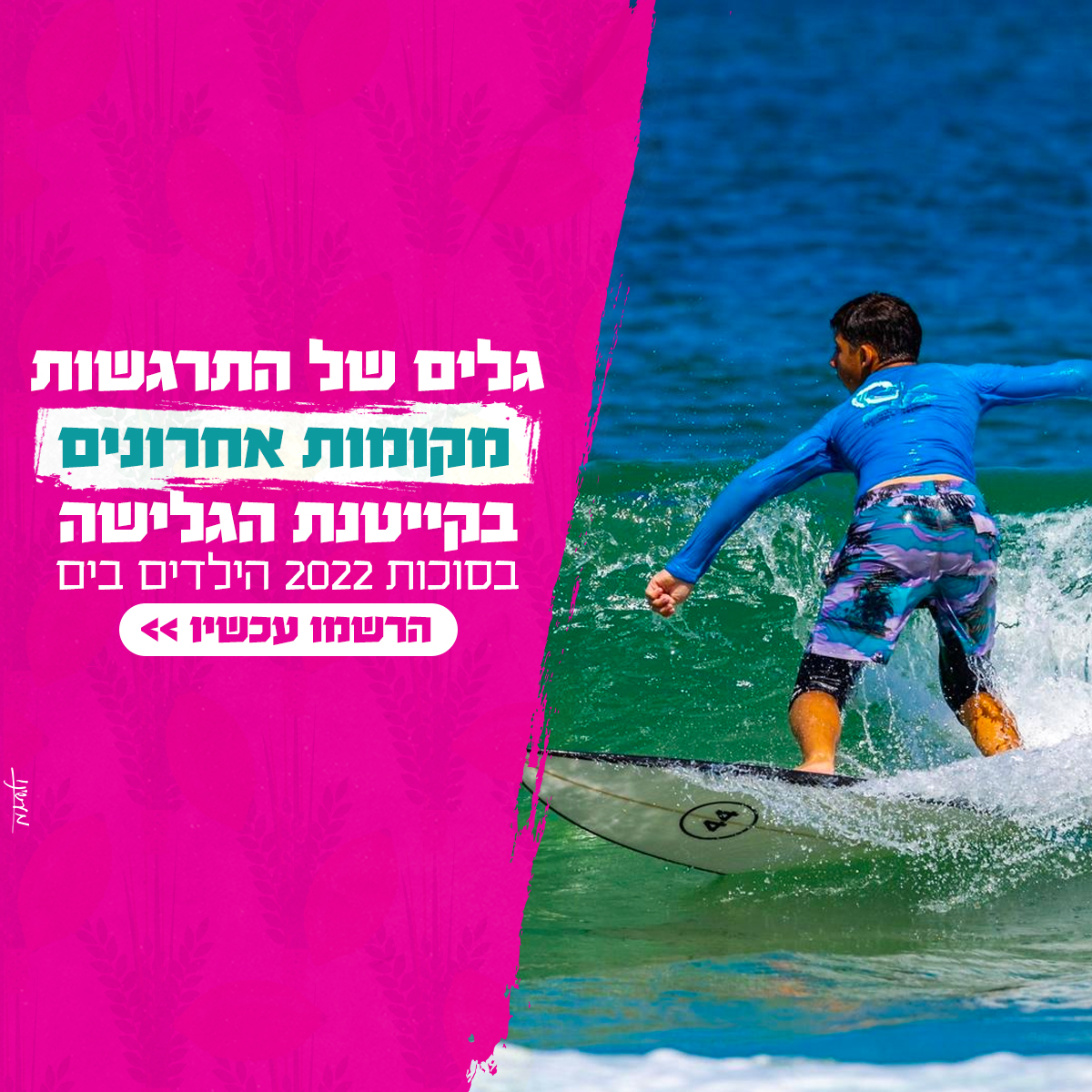 Entry 285502 in Portfolio by מעשינו