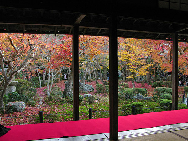 Entry 111298 in Japan Autumn leaves by Sweet-Art