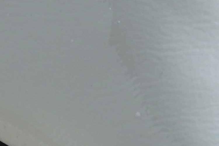 Open Zoomed Related Entry IMG_4698.jpg