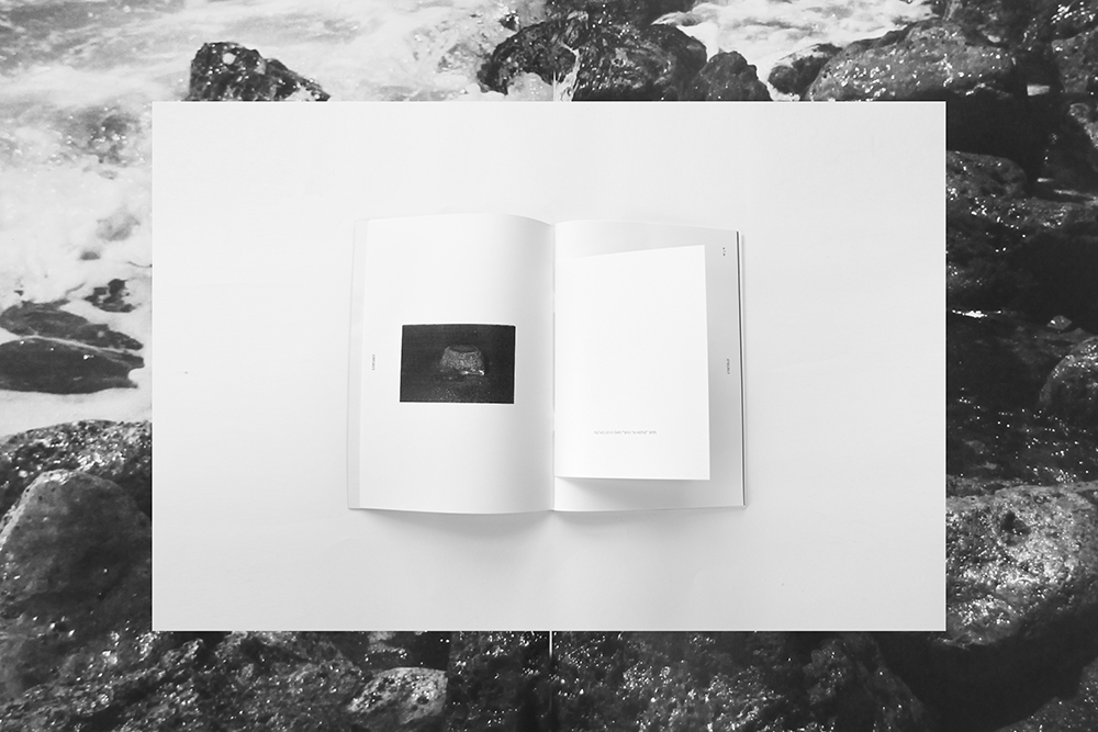 Entry 137968 in Portfolio by מאי רזניק