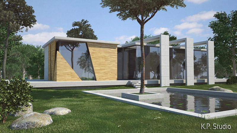 Entry 19238 in Portfolio by K.P. Studio