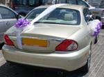 Open Zoomed Related Entry קישוטים לרכב חתן כלה