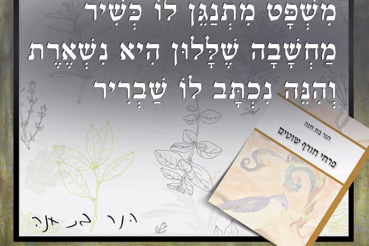 Open Entry 87934 in עיצוב גרפי by Orit Slama