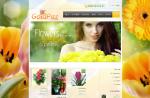 Open Zoomed Related Entry GOLDPAZ FLOWERS גולדפז 