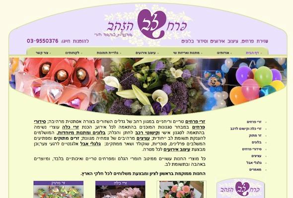 Entry 23516 in Portfolio by טלי פישר - יעוץ וליווי שיווקי באינטרנט
