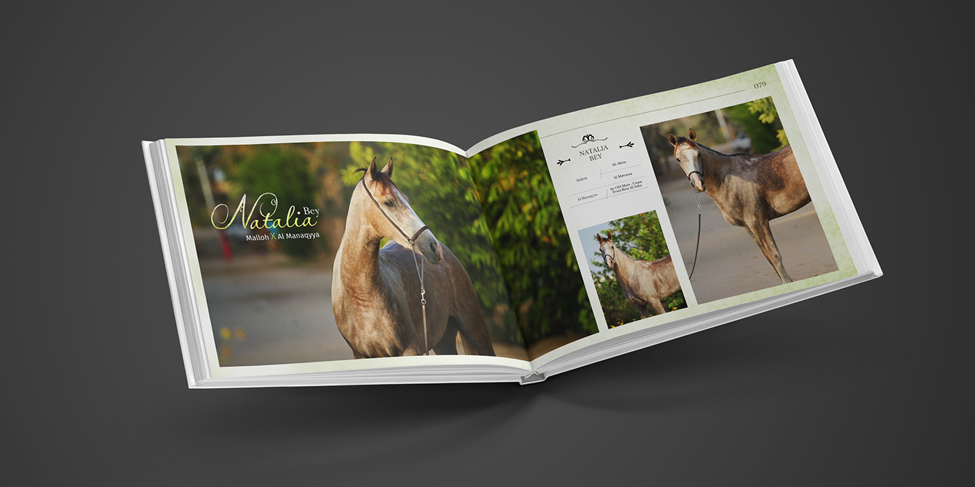 Entry 143065 in AL ASAYIL Catalogue by Haweya company