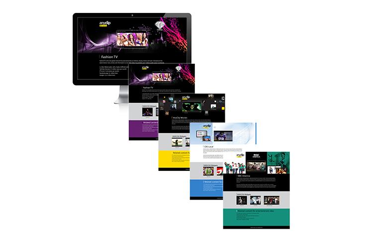 Open Zoomed Related Entry Mini-sites.jpg