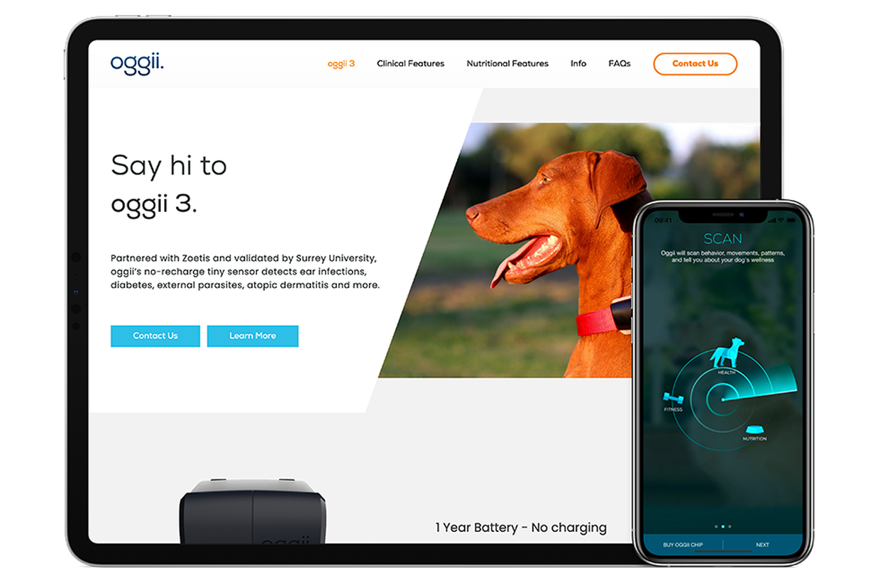 Entry 240606 in Portfolio by IniTech software services