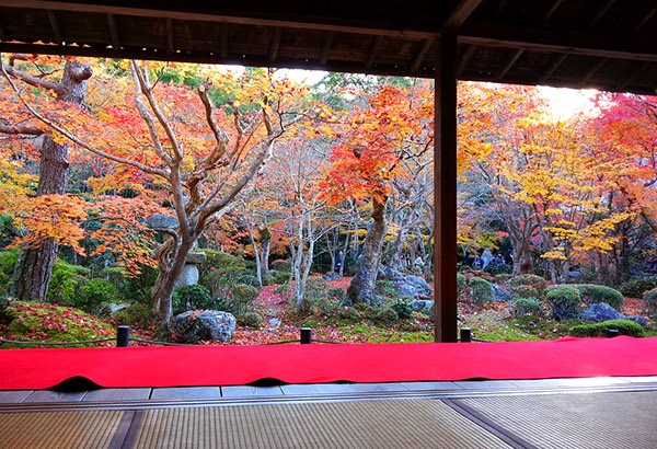Entry 111258 in Japan Autumn leaves by Sweet-Art