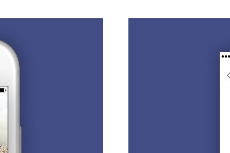 Open Zoomed Related Entry 1.jpg